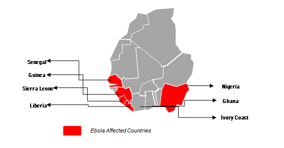 Ebola outbreak in W. Africa leaves cocoa supplies vulnerable during crucial harvest season