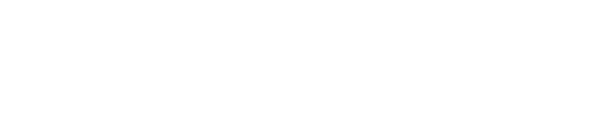 beroe-partners-logo