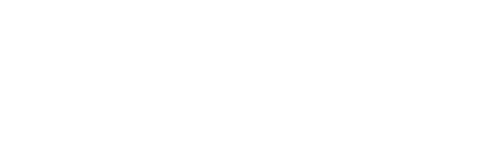 everest-group company logo