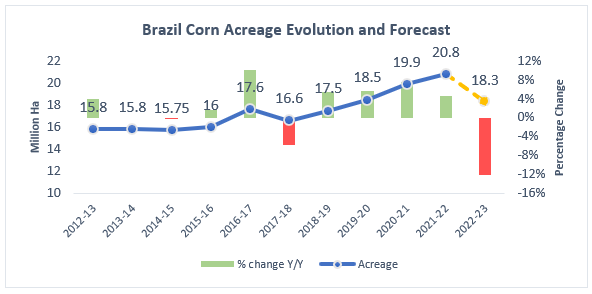 brazil corn acreage