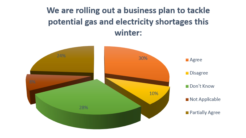 business-plan-tackle-potential-gas-electricity-shortages