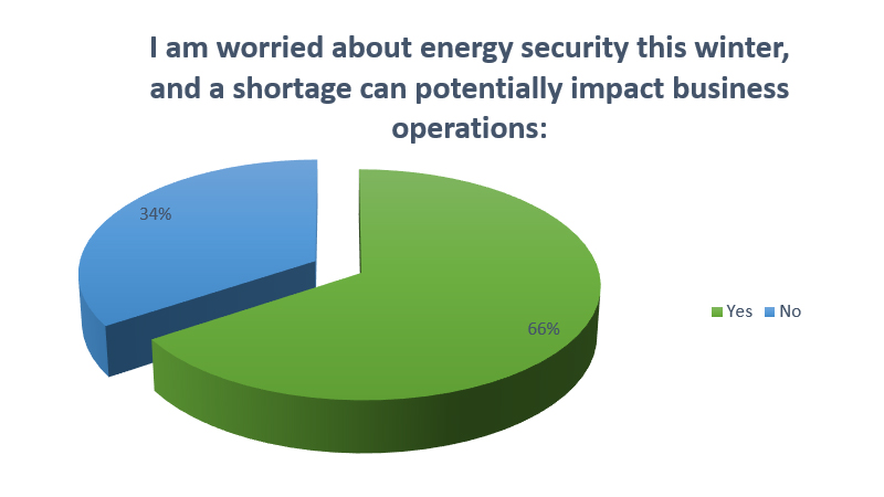 energy-security-shortage-impact-business-operation