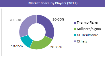 market-share-by-players