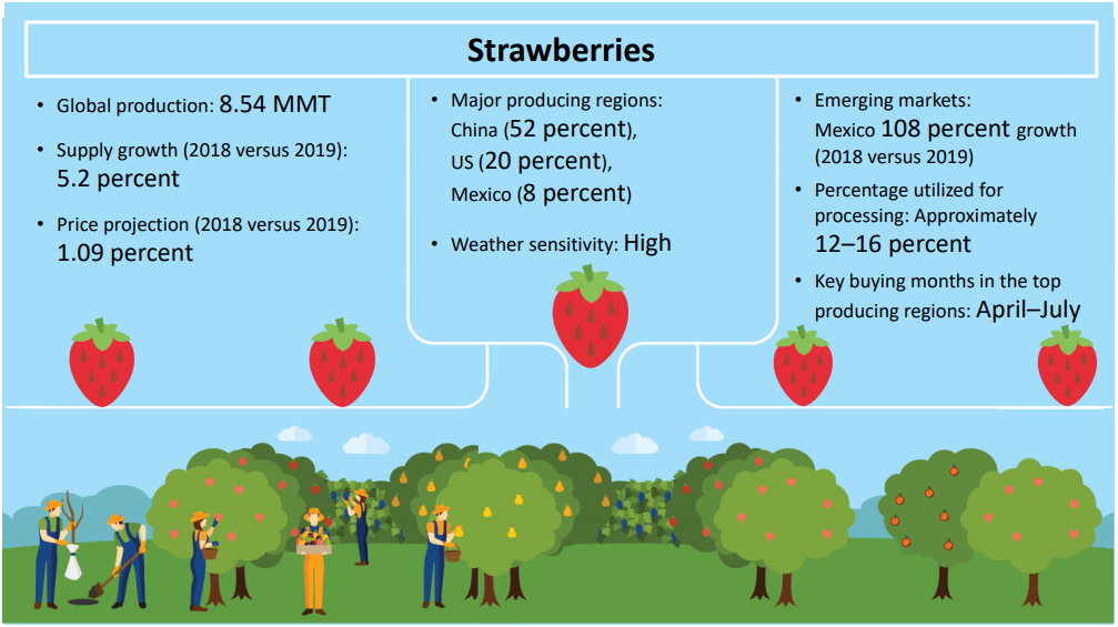 strawberries-market