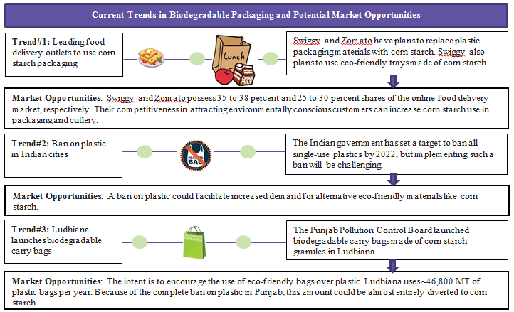 current-trends-in-biodegradable-packaging-and-potential-market-opportunities