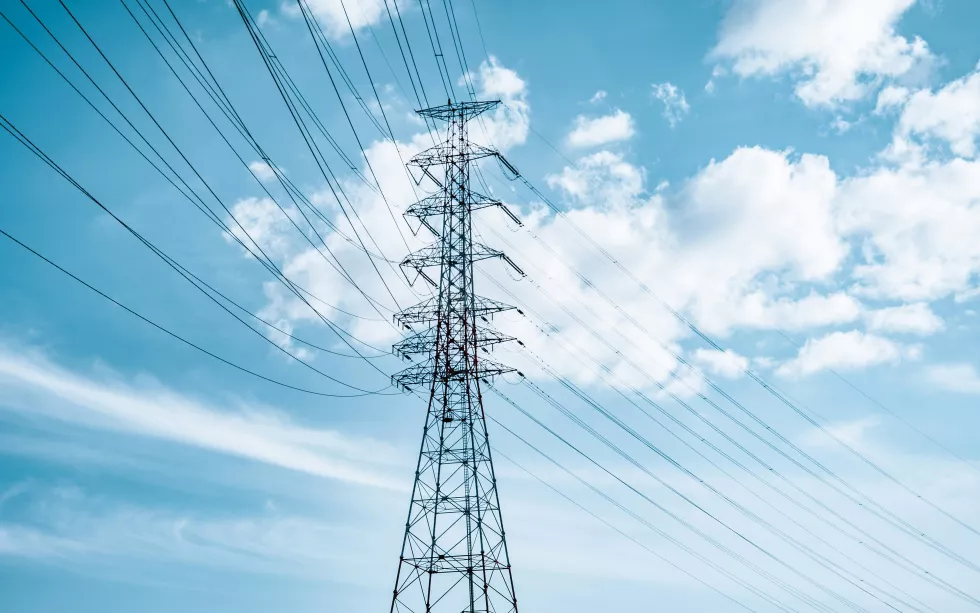 Electricity price volatility