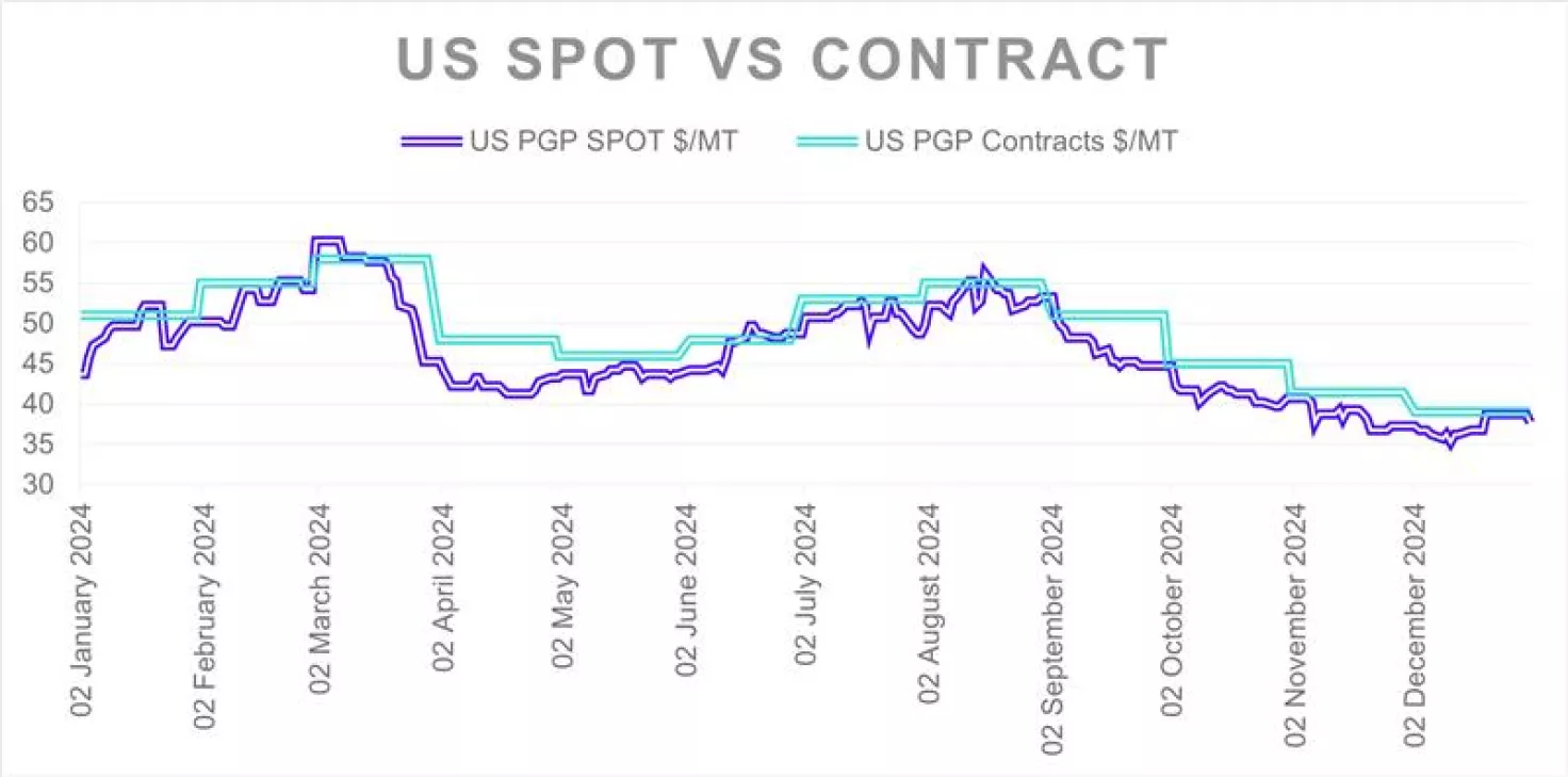 graph-us