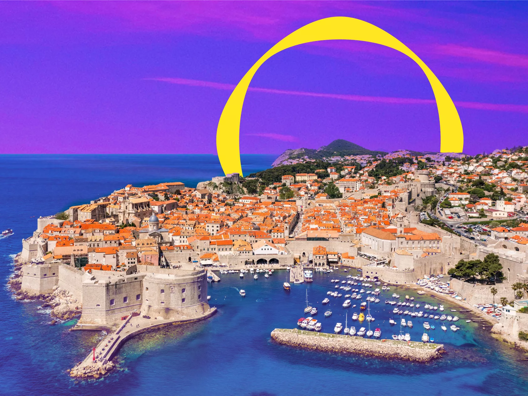 The Cirtuo Procurement Forum