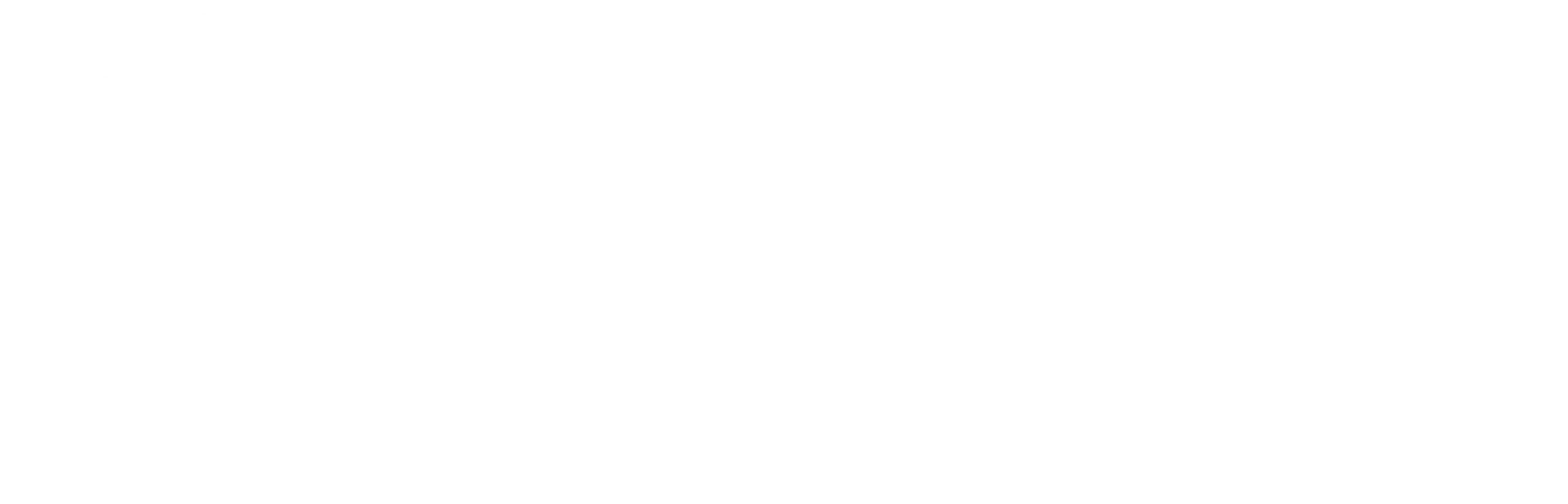 Beroe Logo