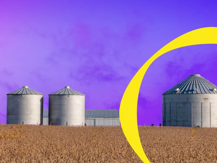 Reality for Agro Food Supply Chains