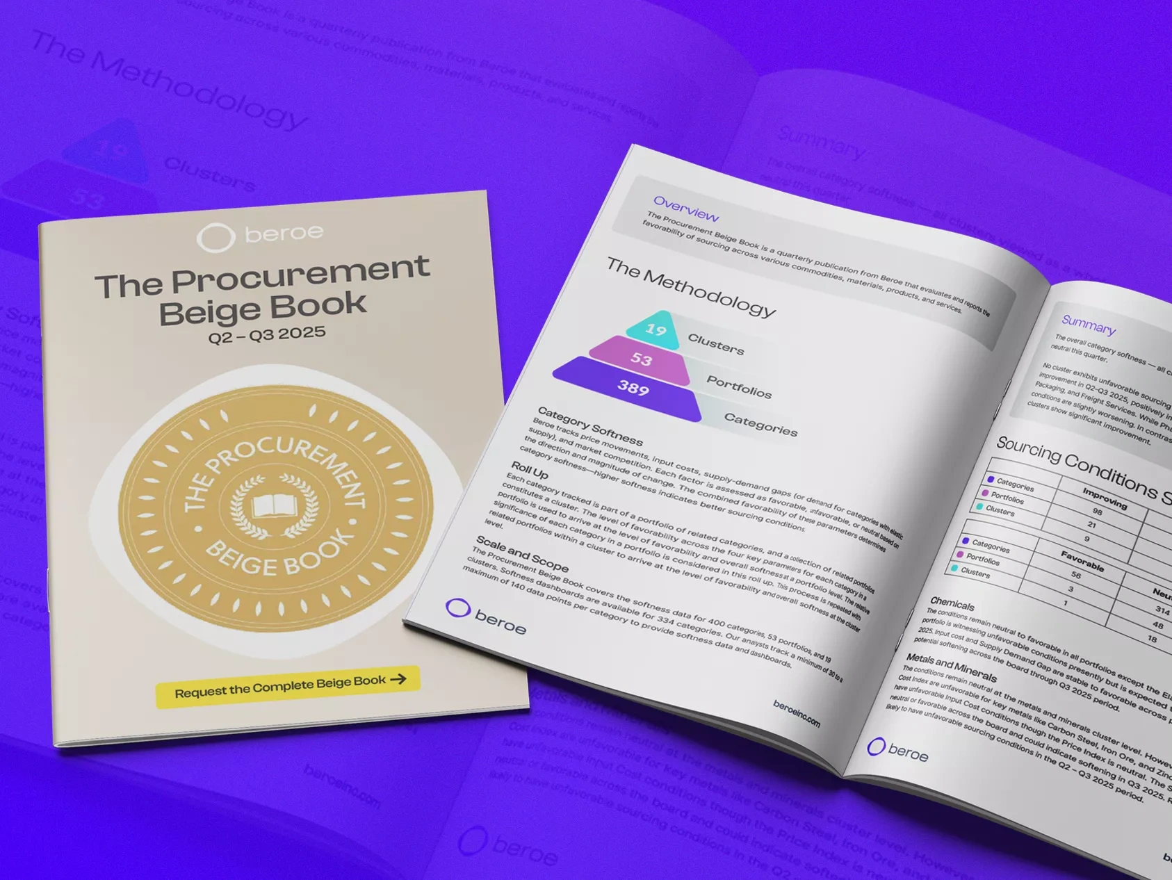 The Procurement Beige Book 2025