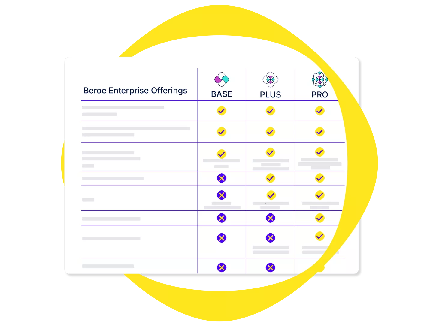 Beroe enterprise offering